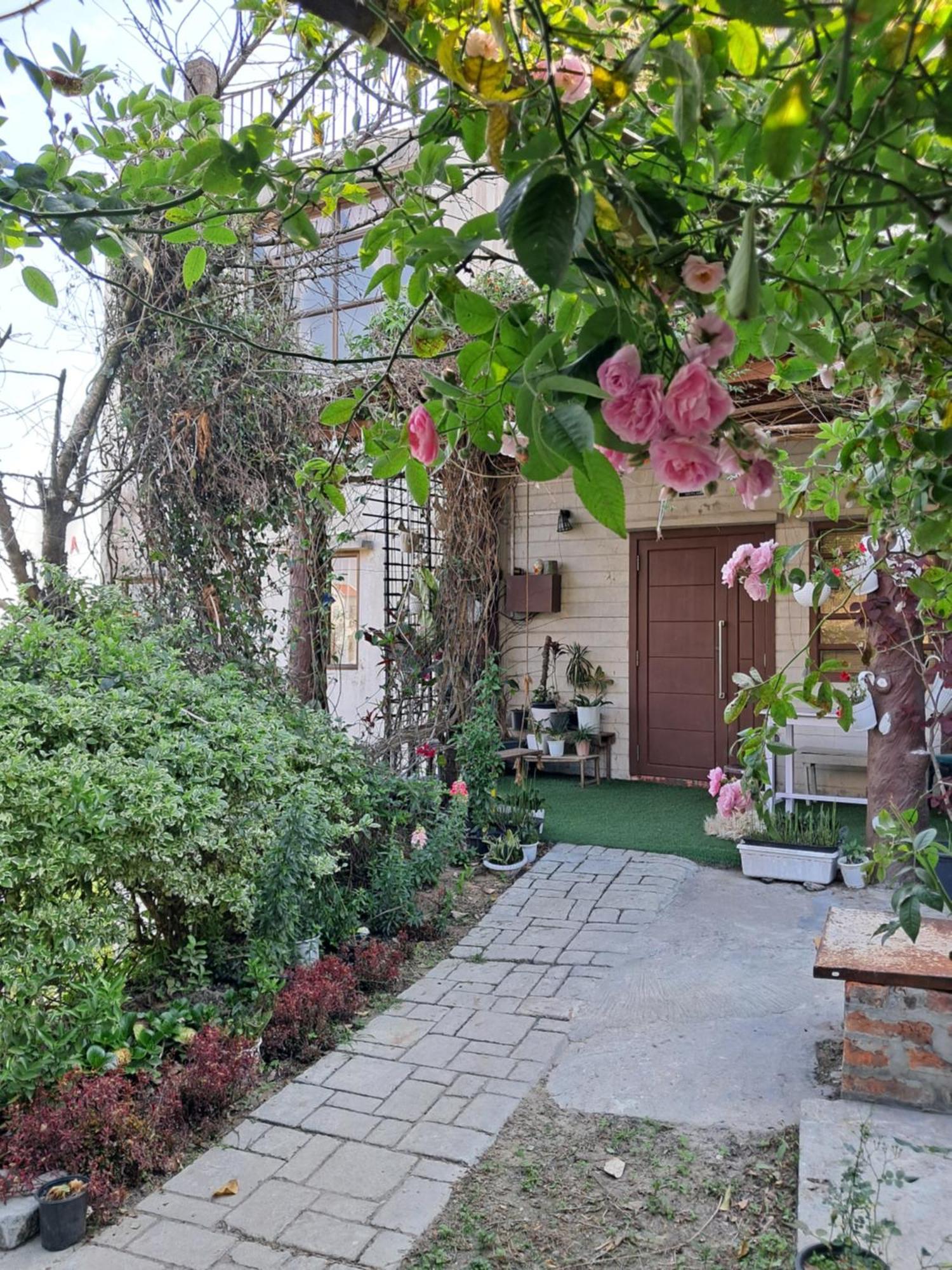 Dormitories/Hosteller, Giftland Homestay ไอซอล ภายนอก รูปภาพ